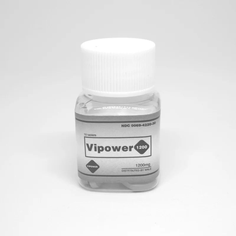 VIPOWER 1200: A Chave para uma Energia Extraordinária