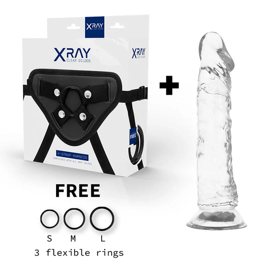 X RAY - ARNÊS + DILDO TRANSPARENTE 21 CM -O- 4 CM
